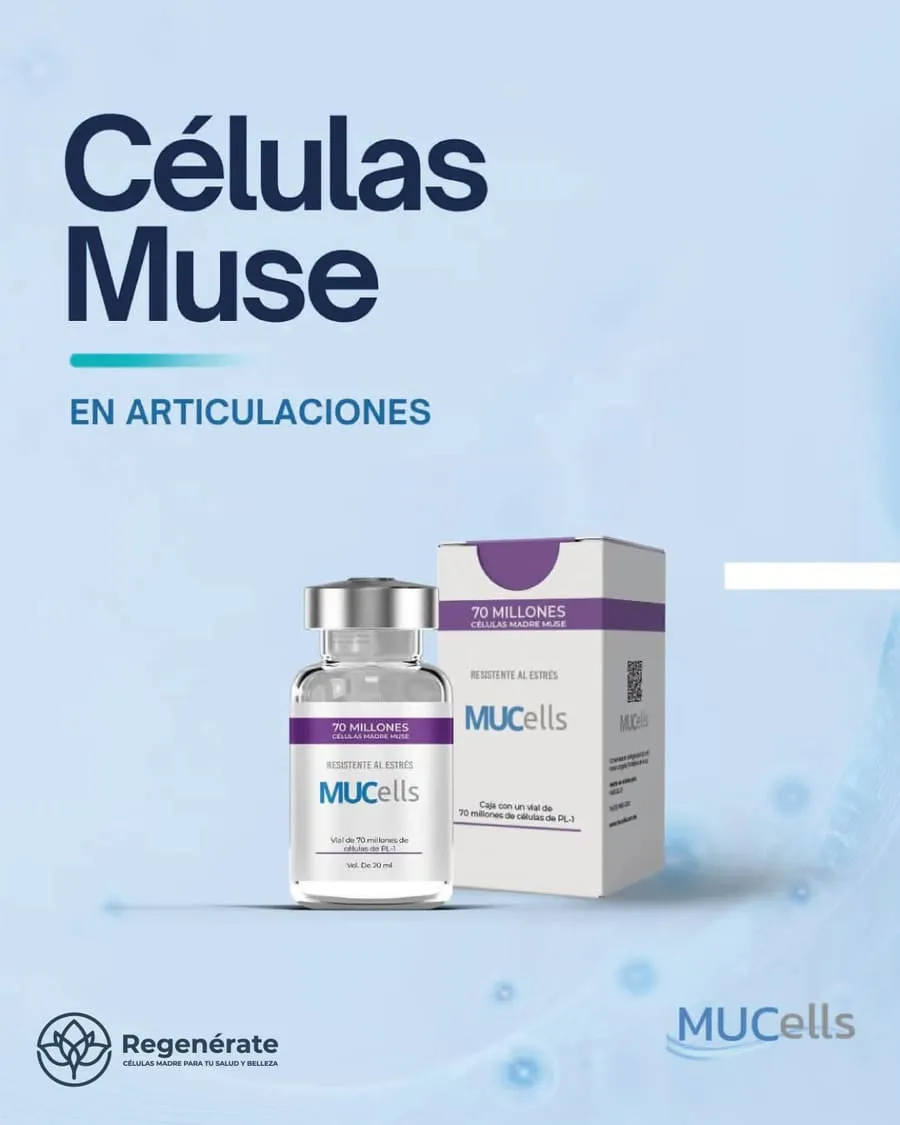 Promoción: muse articulaciones