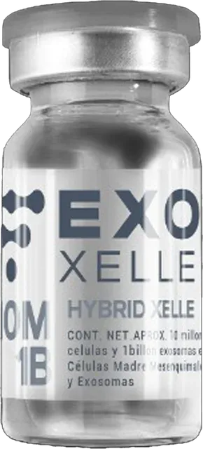 Hybrid Xelle