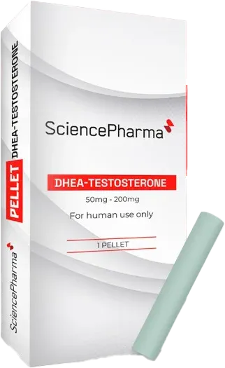 Pellet DHEA-Testosterona