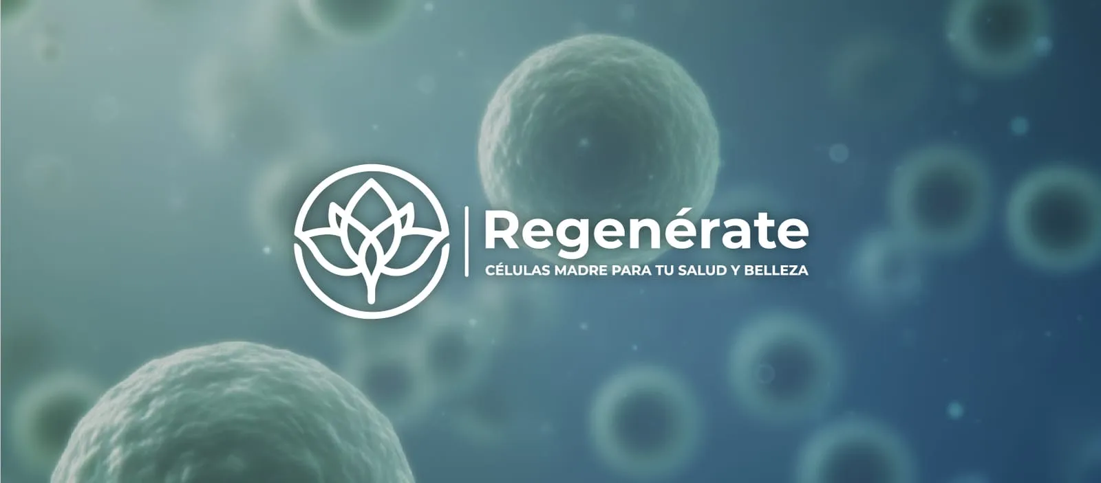Células madre en fondo azul con el logotipo de Regenérate